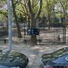 Man knocked unconscious in Brooklyn park by fallen tree limb